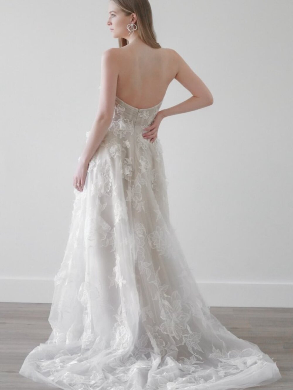Watters Arien Wedding Gown Size 6 & 14 - Picture 3 of 16